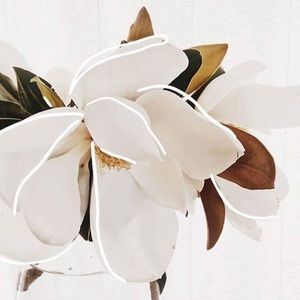 Meet your Posher, Peyton